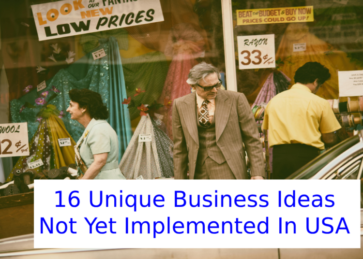 16 Unique Business Ideas Not Yet Implemented In USA